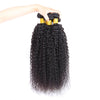 Malaysian Kinky Curly 100% Human Hair Weave Bundles